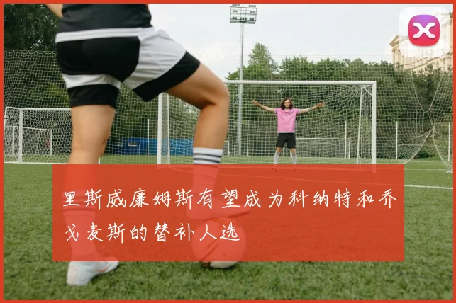里斯威廉姆斯有望成为科纳特和乔戈麦斯的替补人选