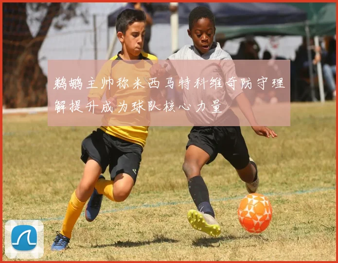 鹈鹕主帅称米西马特科维奇防守理解提升成为球队核心力量
