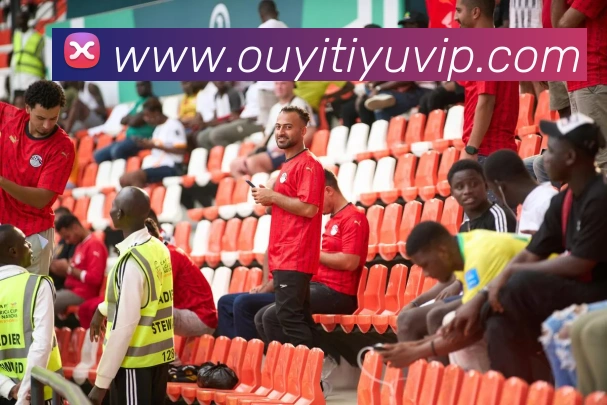 App Interface Preview