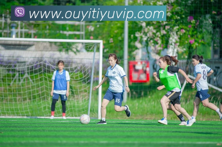 欧亿体育APP 封面图